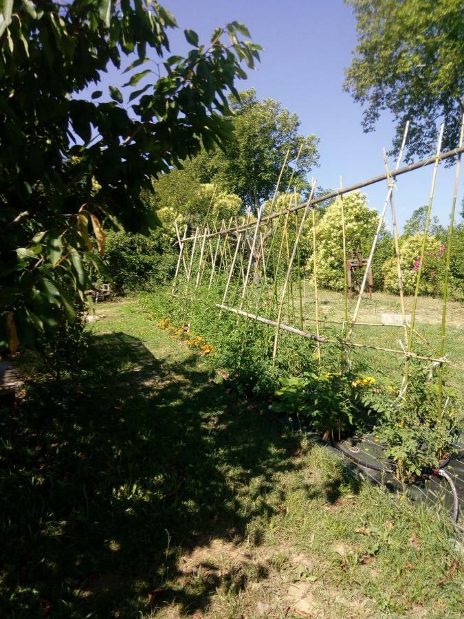 Lili Villa Céret Buitenkant foto