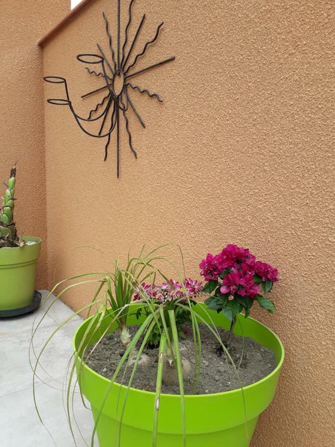 Lili Villa Céret Buitenkant foto